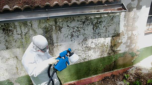 Top rated local Mold Remediation specialists in Fayetteville, PA